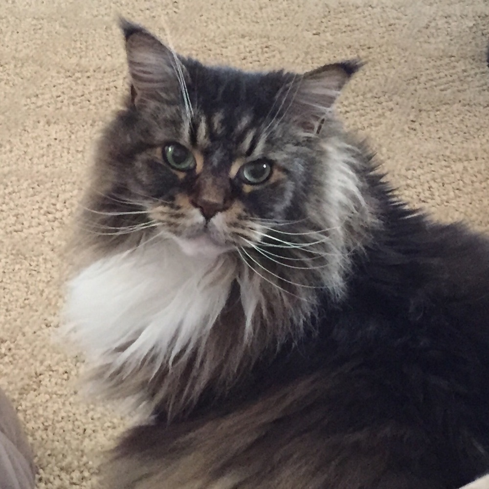 Meet your Posher, Rebecca